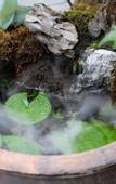 Туры в отель Floral Hotel · Building Ledao Hot Spring hotel