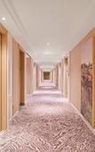 Туры в отель Vienna Hotel(Shenzhen Guangming SunYat-sen University Branch)