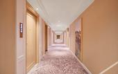 Туры в отель Vienna Hotel(Shenzhen Guangming SunYat-sen University Branch)