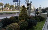 Туры в отель Atour Hotel Shanghai Chongming Dongtan Business Plaza