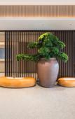 Туры в отель All Seasons Hotel Qionghai Renmin Road