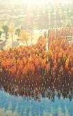 Туры в отель Orange Hotel (Changsha SongyaLake WuyuePlaza)