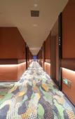 Туры в отель Orange Hotel (Changsha SongyaLake WuyuePlaza)