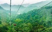 Туры в отель TELLUS Qingchengshan Hot Spring Hotel