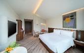 Туры в отель TELLUS Qingchengshan Hot Spring Hotel
