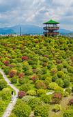 Туры в отель Qianhuazhou Holiday Hotel
