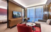 Туры в отель Novotel Dongguan Songshan