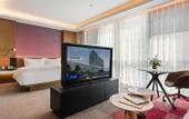 Туры в отель Novotel Dongguan Songshan