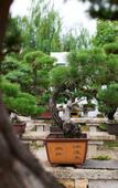 Туры в отель Pokkei Shaoxing Hotel·Small Luxury Hotels of the World