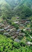 Туры в отель Natural Lodge Homestay