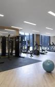 Туры в отель Hotel Indigo ANJI by IHG