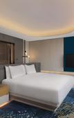 Туры в отель Hotel Indigo ANJI by IHG