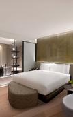 Туры в отель Hotel Indigo ANJI by IHG