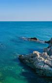 Туры в отель Dalian Sishi Jingyu Beach Resort Hotel
