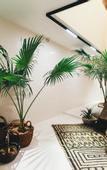 Туры в отель Dalian Sishi Jingyu Beach Resort Hotel