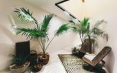 Туры в отель Dalian Sishi Jingyu Beach Resort Hotel