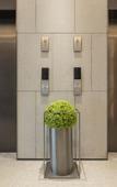 Туры в отель JI Hotel (Bazhong Nanba Branch)