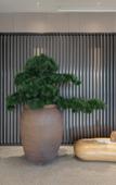 Туры в отель JI Hotel (Bazhong Nanba Branch)
