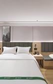 Туры в отель GreenTree Zhixuan Hotel (Nanjing Lukou Airport Xinghancheng)
