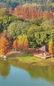 Туры в отель Mercure Dongguan Songshan Lake