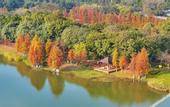 Туры в отель Mercure Dongguan Songshan Lake