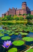 Туры в отель Mercure Dongguan Songshan Lake