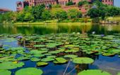 Туры в отель Mercure Dongguan Songshan Lake