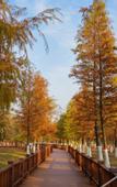 Туры в отель Mercure Dongguan Songshan Lake