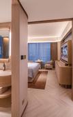 Туры в отель Crystal Orange Nanjing Jiangning Sasseur Dongnan University