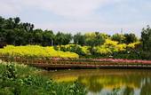 Туры в отель Atour Hotel Tianjin Eco-City Haiboguan