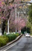 Туры в отель Atour Light Hotel Dianchi Road South Asia Style First City, KUNMING