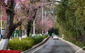 Туры в отель Atour Light Hotel Dianchi Road South Asia Style First City, KUNMING