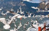 Туры в отель Atour Light Hotel Dianchi Road South Asia Style First City, KUNMING