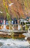 Туры в отель Atour Light Hotel Dianchi Road South Asia Style First City, KUNMING