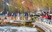 Туры в отель Atour Light Hotel Dianchi Road South Asia Style First City, KUNMING