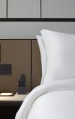 Туры в отель Zhonghao Yueji Hotel (Shenzhen Qianhai Branch)