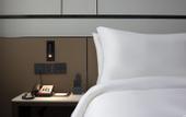 Туры в отель Zhonghao Yueji Hotel (Shenzhen Qianhai Branch)