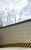 Туры в отель Aivia Rezen Hotel (Lijiang Ancient City)