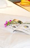 Туры в отель Shanshui S Hotel (Jiangmen Pengjiang Wanda Plaza Branch)