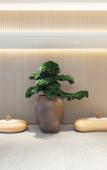 Туры в отель JI Hotel (Jiashan)