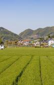 Туры в отель Floral Lux Hotel Xiangshan Tongchenyuan