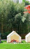 Туры в отель Floral Hotel·Hangzhou Michagu Hotel
