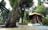 Туры в отель Floral Hotel·Dujiangyan Irrigation Project Puruna parent-child holiday Hotel