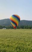 Туры в отель Floral Village· Lanting Shengran Valley Hotel