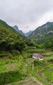 Туры в отель Floral Hotel Huangshan Xiandu Yunlu Hotel (Phoenix Source Scenic Area Branch)