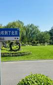 Туры в отель Mercure Beijing The Grand Canal CBD