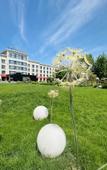 Туры в отель Mercure Beijing The Grand Canal CBD