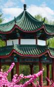 Туры в отель Mercure Beijing The Grand Canal CBD