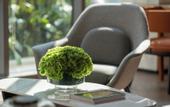 Туры в отель Holiday Inn GUIYANG AIRPORT by IHG