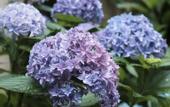 Туры в отель Floral Lux Hotel · Yixing Yushe Hotel